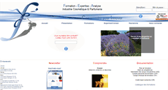 Desktop Screenshot of fea-sas.com